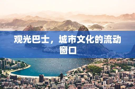 观光巴士，城市文化的流动窗口