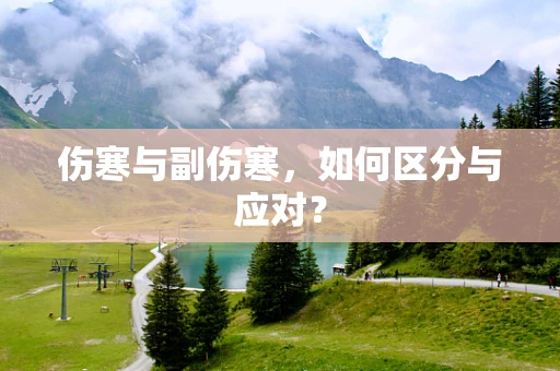 伤寒与副伤寒，如何区分与应对？