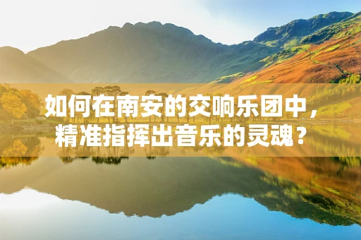 如何在南安的交响乐团中，精准指挥出音乐的灵魂？