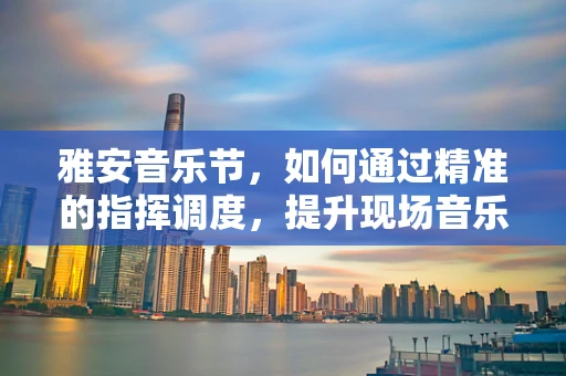 雅安音乐节，如何通过精准的指挥调度，提升现场音乐体验？