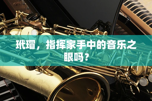 玳瑁，指挥家手中的音乐之眼吗？