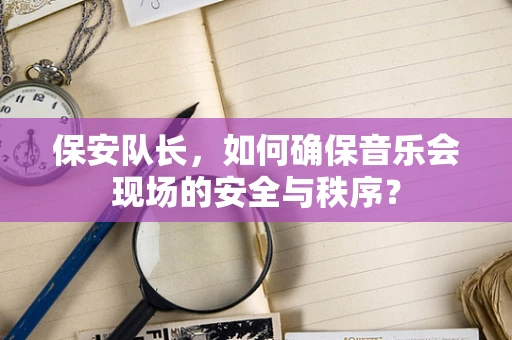保安队长，如何确保音乐会现场的安全与秩序？