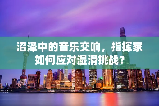 沼泽中的音乐交响，指挥家如何应对湿滑挑战？