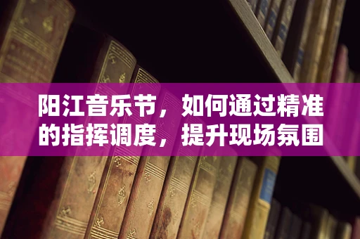 阳江音乐节，如何通过精准的指挥调度，提升现场氛围？