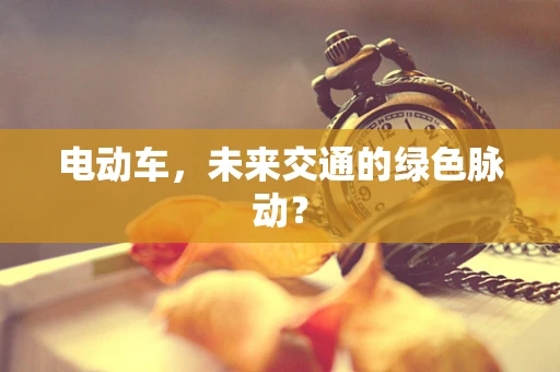 电动车，未来交通的绿色脉动？