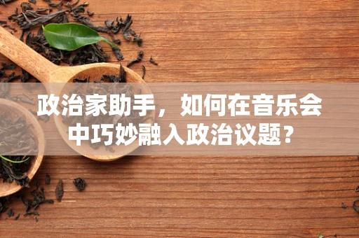 政治家助手，如何在音乐会中巧妙融入政治议题？