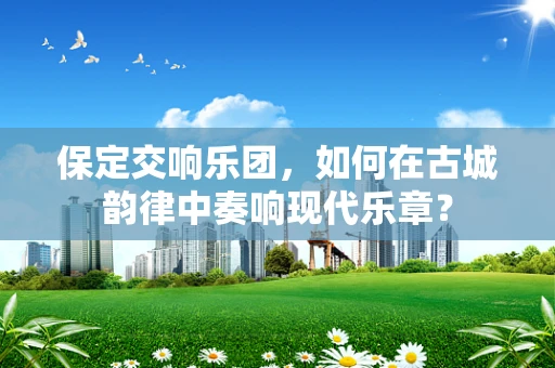 保定交响乐团，如何在古城韵律中奏响现代乐章？