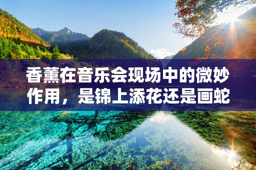 香薰在音乐会现场中的微妙作用，是锦上添花还是画蛇添足？