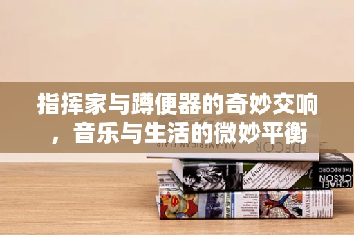 指挥家与蹲便器的奇妙交响，音乐与生活的微妙平衡