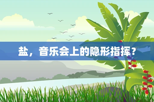 盐，音乐会上的隐形指挥？
