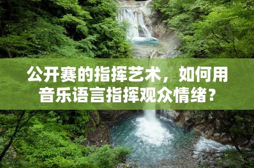 公开赛的指挥艺术，如何用音乐语言指挥观众情绪？