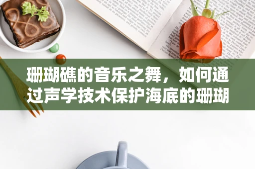 珊瑚礁的音乐之舞，如何通过声学技术保护海底的珊瑚森林？