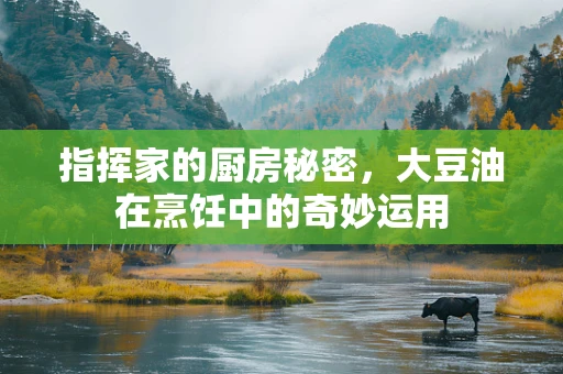 指挥家的厨房秘密，大豆油在烹饪中的奇妙运用