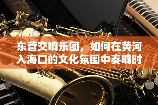 东营交响乐团，如何在黄河入海口的文化氛围中奏响时代乐章？