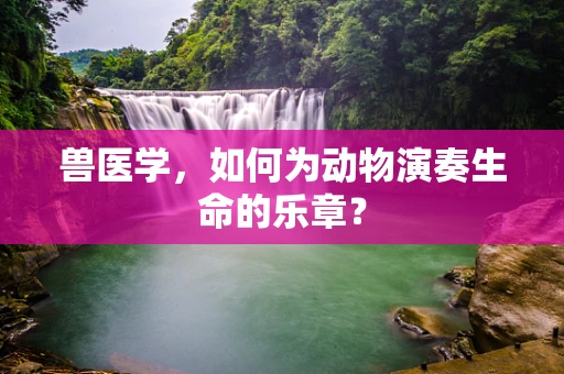 兽医学，如何为动物演奏生命的乐章？