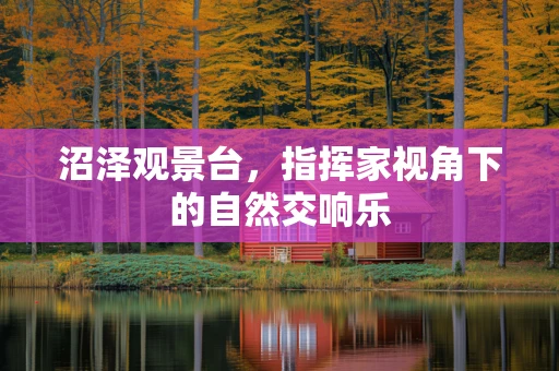 沼泽观景台，指挥家视角下的自然交响乐