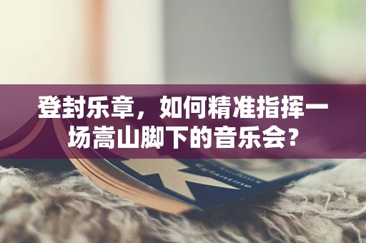 登封乐章，如何精准指挥一场嵩山脚下的音乐会？