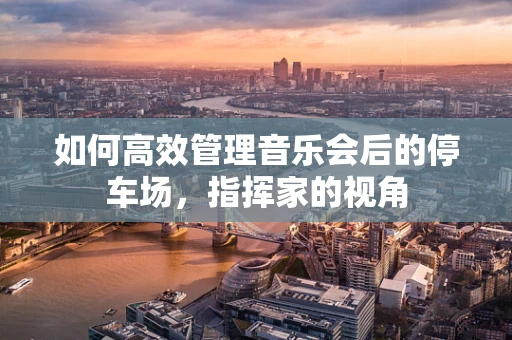 如何高效管理音乐会后的停车场，指挥家的视角