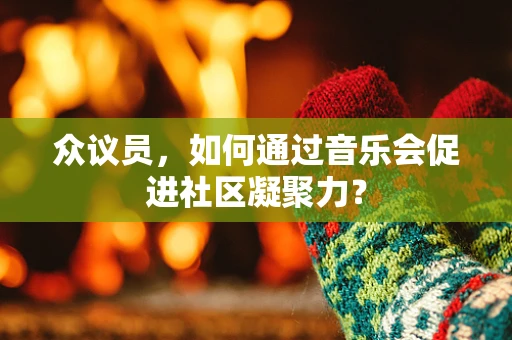 众议员，如何通过音乐会促进社区凝聚力？