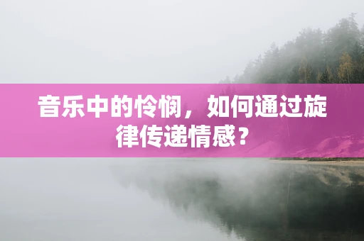 音乐中的怜悯，如何通过旋律传递情感？