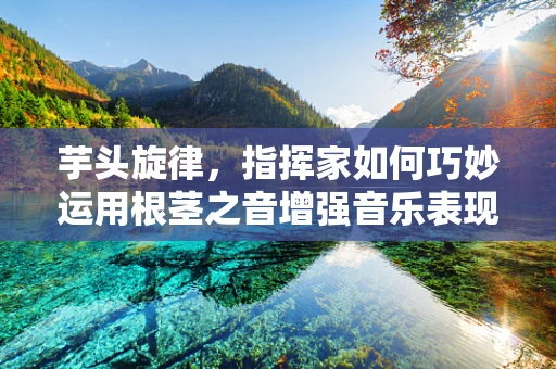 芋头旋律，指挥家如何巧妙运用根茎之音增强音乐表现力？