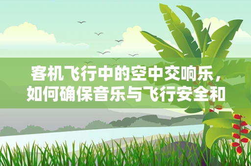 客机飞行中的空中交响乐，如何确保音乐与飞行安全和谐共存？