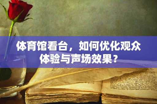 体育馆看台，如何优化观众体验与声场效果？