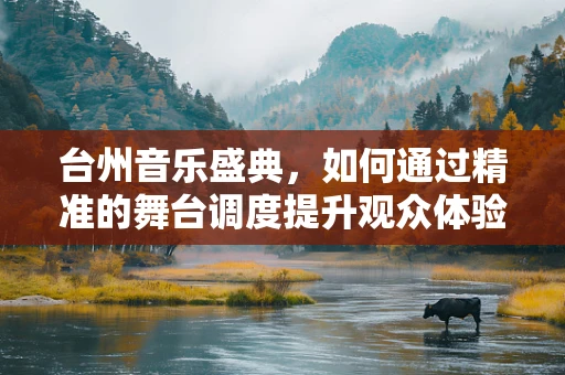 台州音乐盛典，如何通过精准的舞台调度提升观众体验？
