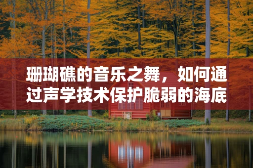 珊瑚礁的音乐之舞，如何通过声学技术保护脆弱的海底乐章？
