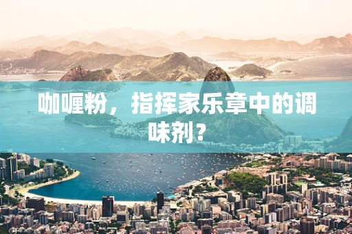 咖喱粉，指挥家乐章中的调味剂？