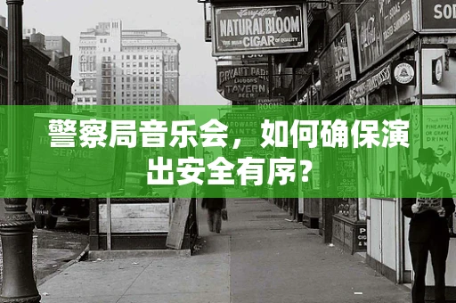 警察局音乐会，如何确保演出安全有序？