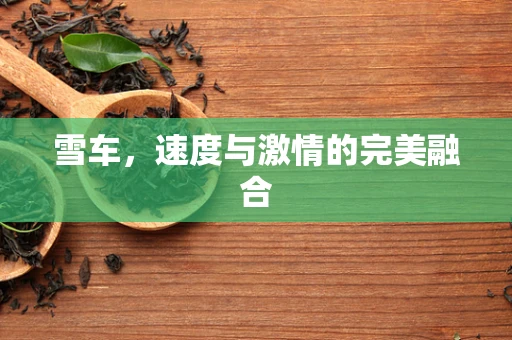 雪车，速度与激情的完美融合