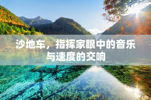 沙地车，指挥家眼中的音乐与速度的交响
