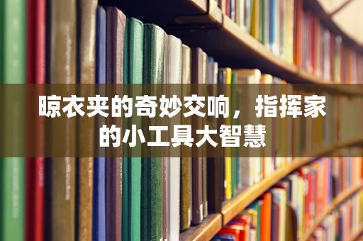 晾衣夹的奇妙交响，指挥家的小工具大智慧