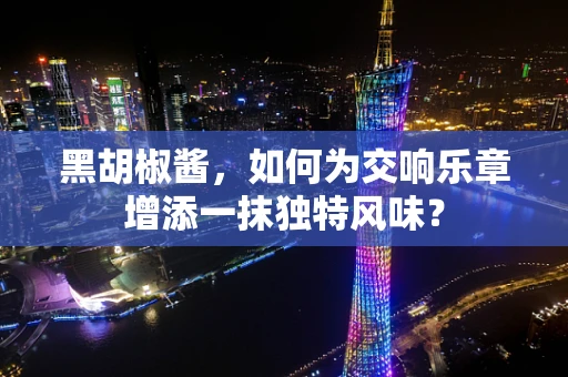 黑胡椒酱，如何为交响乐章增添一抹独特风味？