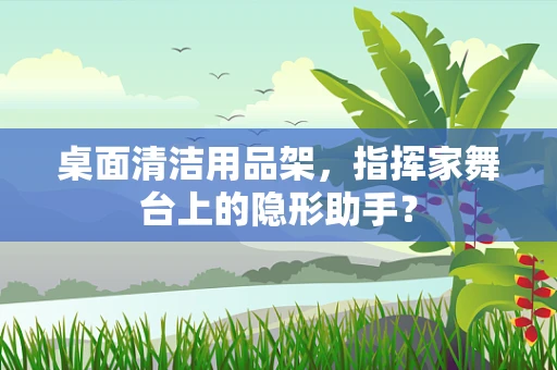 桌面清洁用品架，指挥家舞台上的隐形助手？