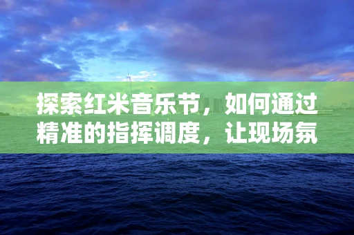探索红米音乐节，如何通过精准的指挥调度，让现场氛围红动人心？
