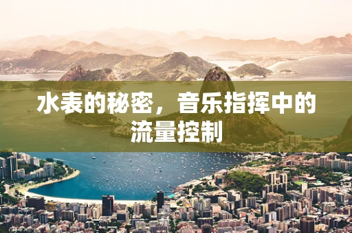 水表的秘密，音乐指挥中的流量控制
