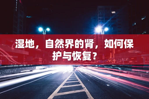 湿地，自然界的肾，如何保护与恢复？