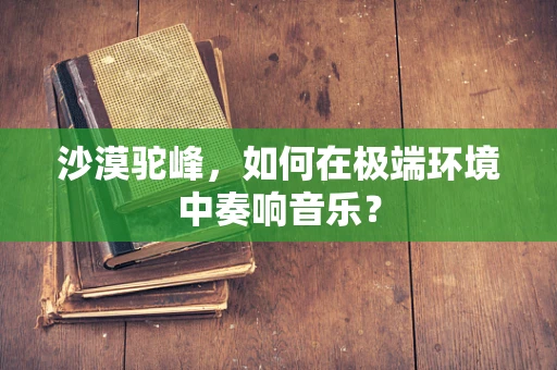 沙漠驼峰，如何在极端环境中奏响音乐？