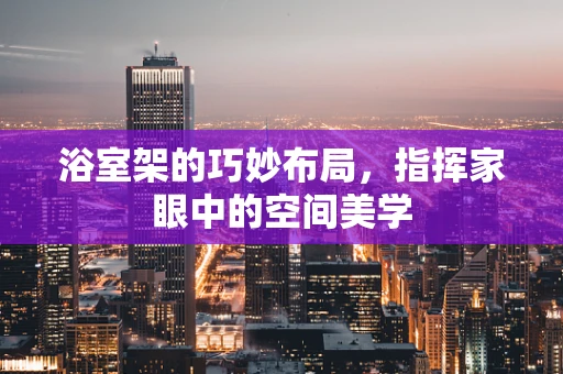 浴室架的巧妙布局，指挥家眼中的空间美学