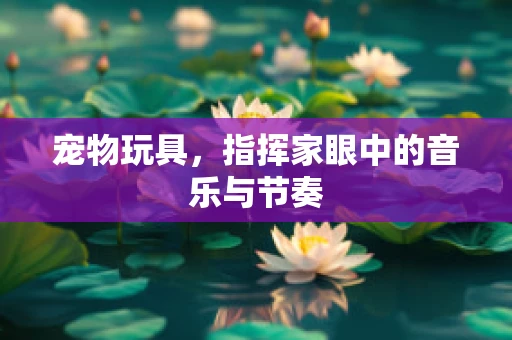 宠物玩具，指挥家眼中的音乐与节奏