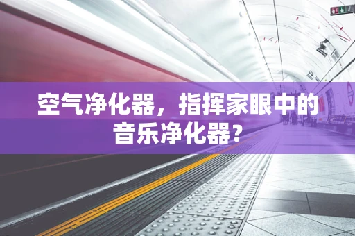 空气净化器，指挥家眼中的音乐净化器？