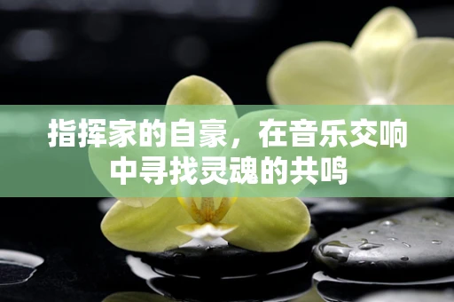 指挥家的自豪，在音乐交响中寻找灵魂的共鸣