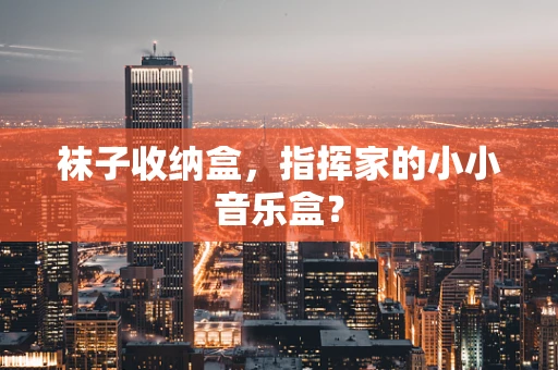 袜子收纳盒，指挥家的小小音乐盒？