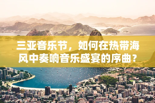 三亚音乐节，如何在热带海风中奏响音乐盛宴的序曲？