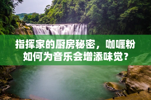 指挥家的厨房秘密，咖喱粉如何为音乐会增添味觉？