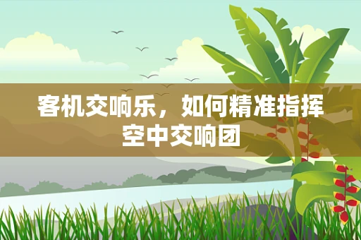 客机交响乐，如何精准指挥空中交响团