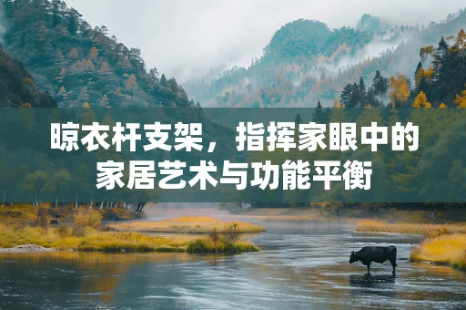 晾衣杆支架，指挥家眼中的家居艺术与功能平衡