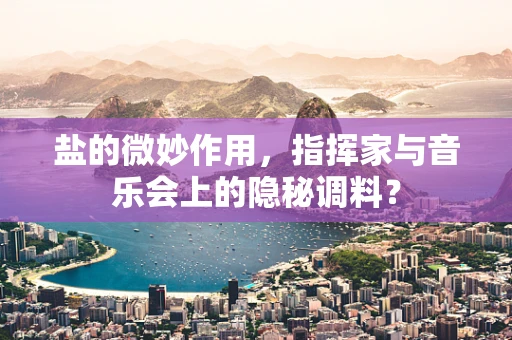 盐的微妙作用，指挥家与音乐会上的隐秘调料？